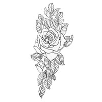Colourless Rose